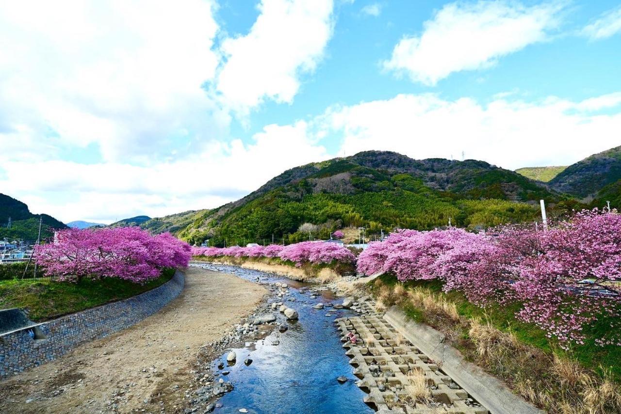 Shobuzawa Log Villa Kawazu Exterior foto