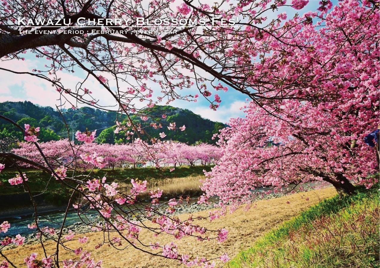 Shobuzawa Log Villa Kawazu Exterior foto
